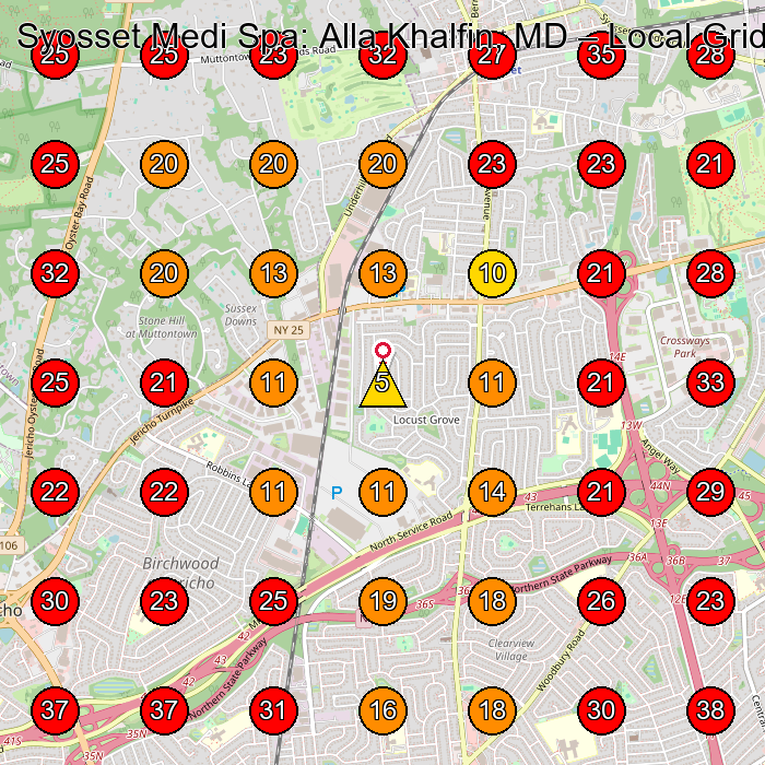 Syosset Medi Spa: Alla Khalfin, MD GeoGrid visibility map for Medical Spa in Syosset